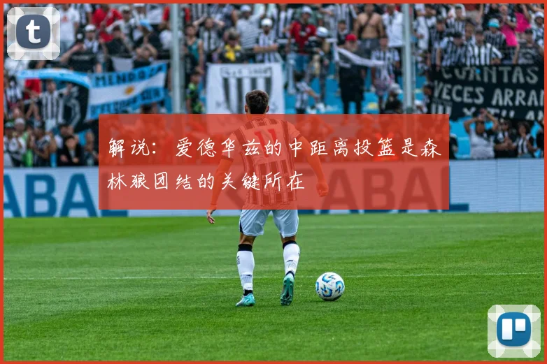 解说：爱德华兹的中距离投篮是森林狼团结的关键所在