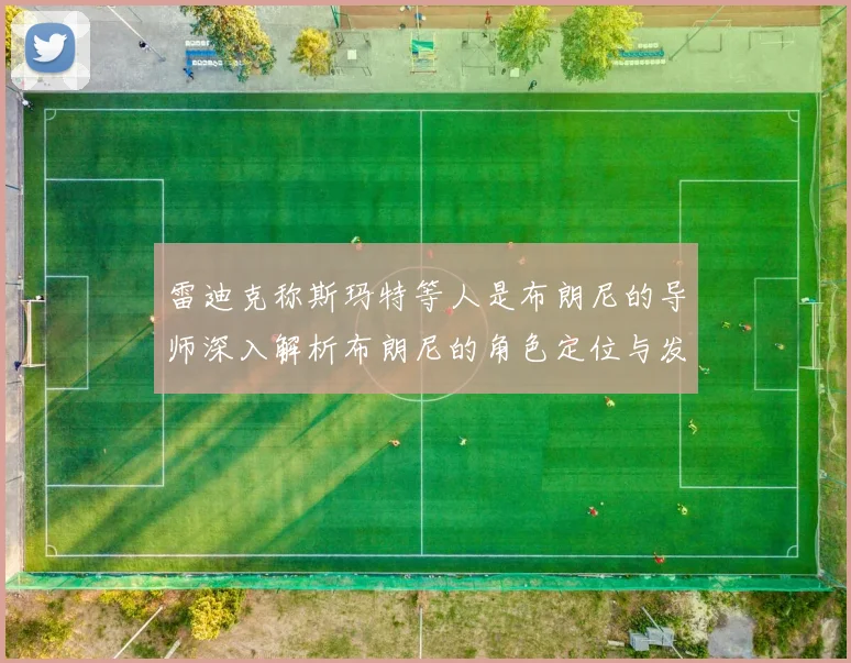 雷迪克称斯玛特等人是布朗尼的导师深入解析布朗尼的角色定位与发展方向