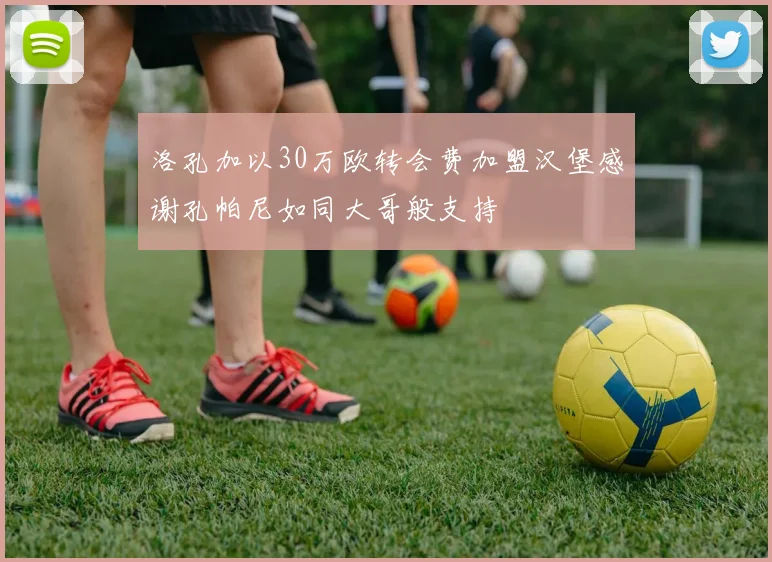 洛孔加以30万欧转会费加盟汉堡感谢孔帕尼如同大哥般支持